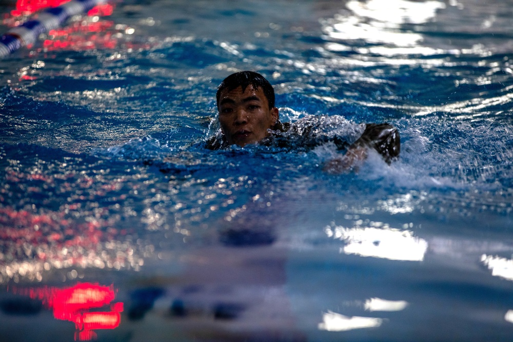 U.S. Army Soldiers earn through physical challenge, the German Armed Proficiency Badge.