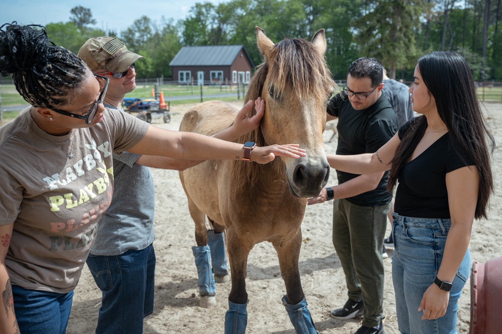 Giving Back: AFMAO honorary commander offers unique resilience connection for team members
