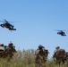 1-41 Infantry Battalion conducts air assault operations