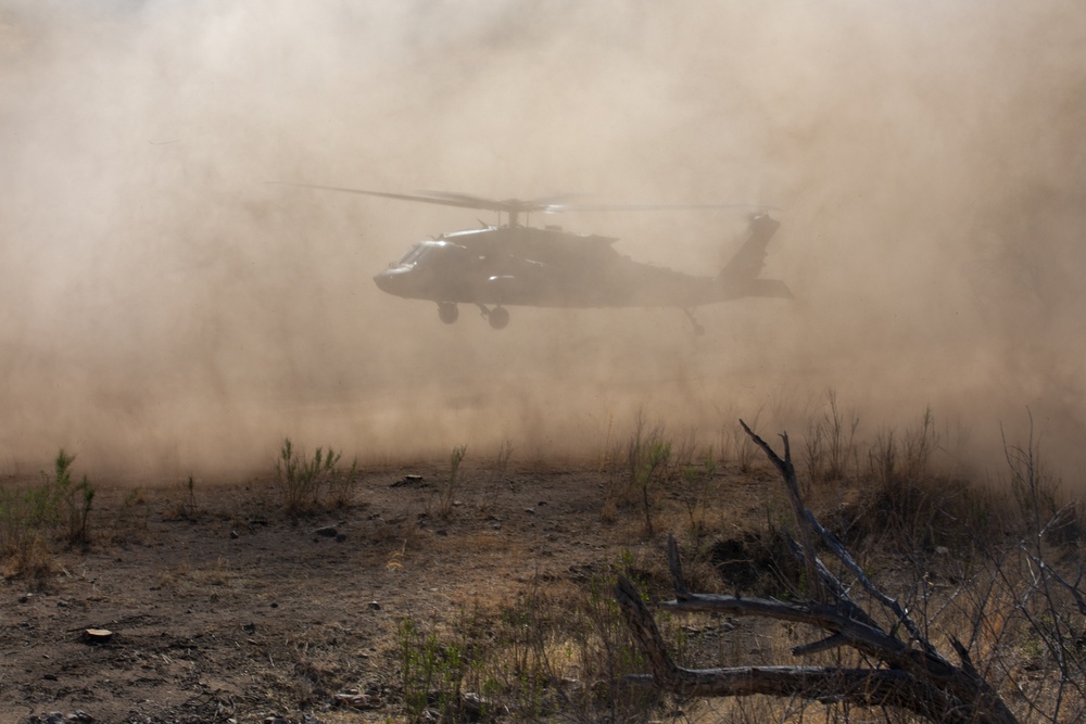 1-41 Infantry Battalion conducts air assault operations