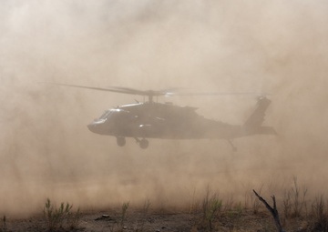 1-41 Infantry Battalion conducts air assault operations