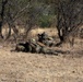 1-41 Infantry Battalion conducts air assault operations