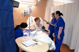 Alaskan people, animals receive no-cost care above Arctic Circle