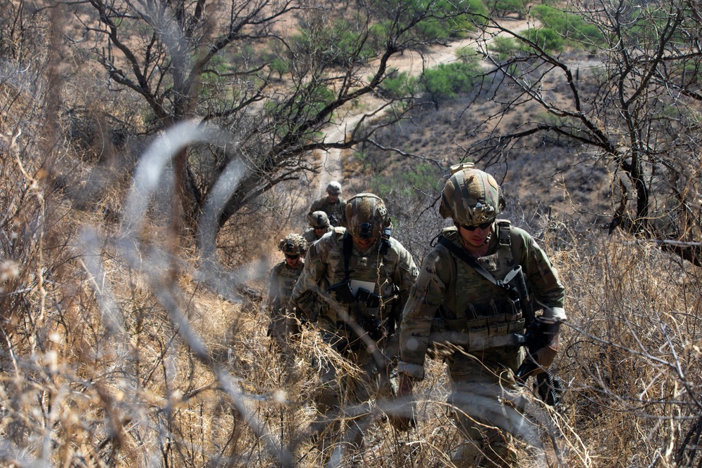 1-41 Infantry Battalion conducts air assault operations