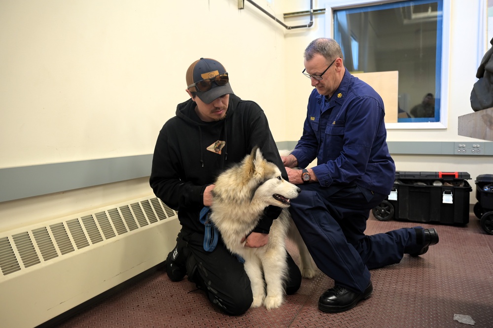 Alaskan people, animals receive no-cost care above Arctic Circle