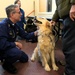 Alaskan people, animals receive no-cost care above Arctic Circle