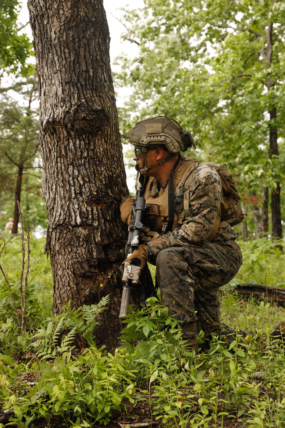 2025 Marine Corps Annual Rifle Squad Competition Day 3