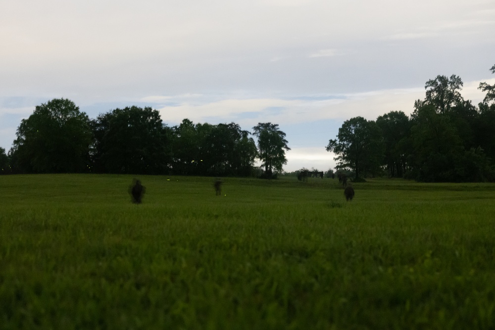 2025 Marine Corps Annual Rifle Squad Competition Day 4