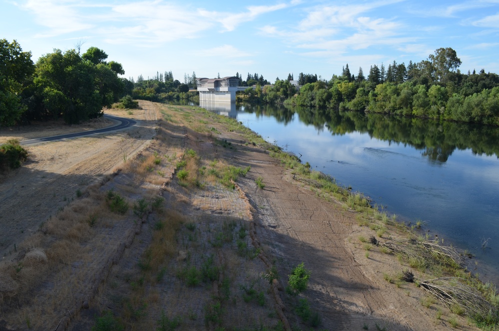 Vegetation regrowth along the American River