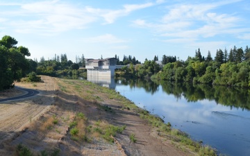 Vegetation regrowth along the American River