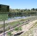 Vegetation regrowth along the American River