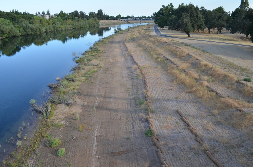 Vegetation regrowth along the American River