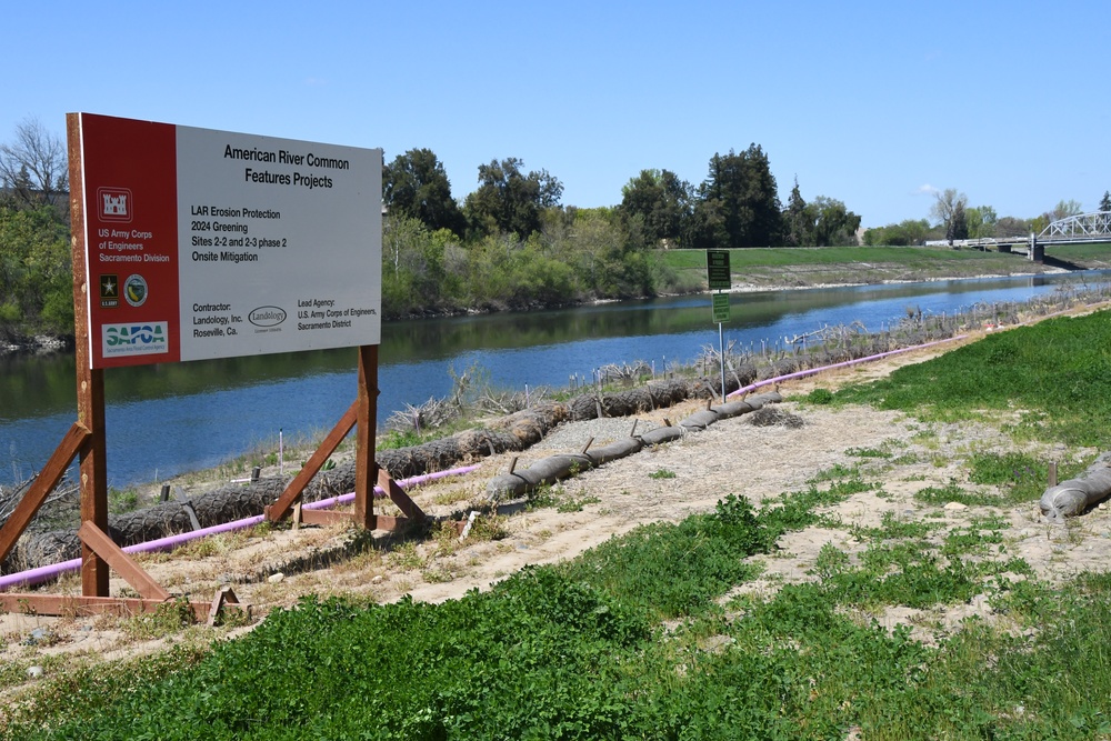 Vegetation regrowth along the American River