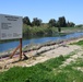 Vegetation regrowth along the American River
