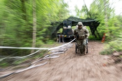 512th Field Hospital conducts mass casualty exercise with partner nation medics at Vepriai Rocket Base during DEFENDER 2025 [Image 16 of 28]