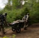 512th Field Hospital conducts mass casualty exercise with partner nation medics at Vepriai Rocket Base during DEFENDER 2025