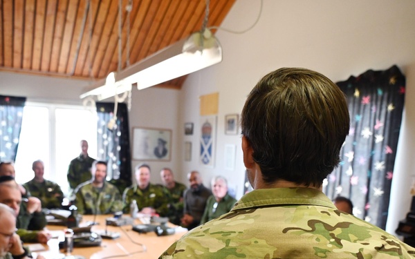 Green Berets work together with Swedish Home Guard