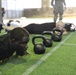 301st HHD tackle the ACFT in support of their annual training exercise