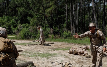 Mike Company Day Movement Course