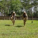 Mike Company Day Movement Course