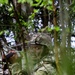 Maryland National Guard Strengthens Ties with Estonia During Exercise Hedgehog