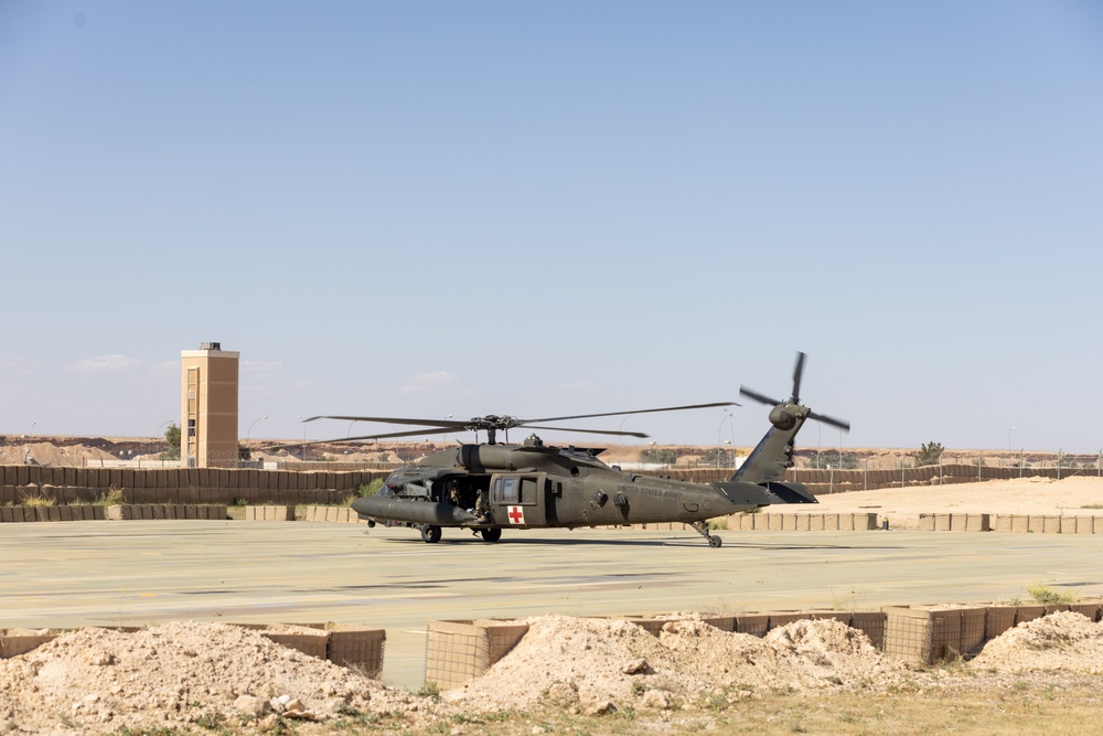 TF Cardinal MEDEVAC Training