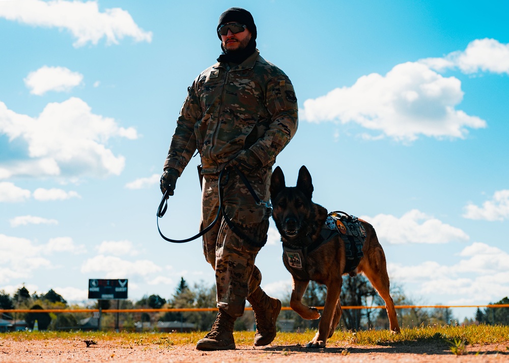 Partners in Protection: K-9s of National Police Week