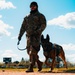 Partners in Protection: K-9s of National Police Week