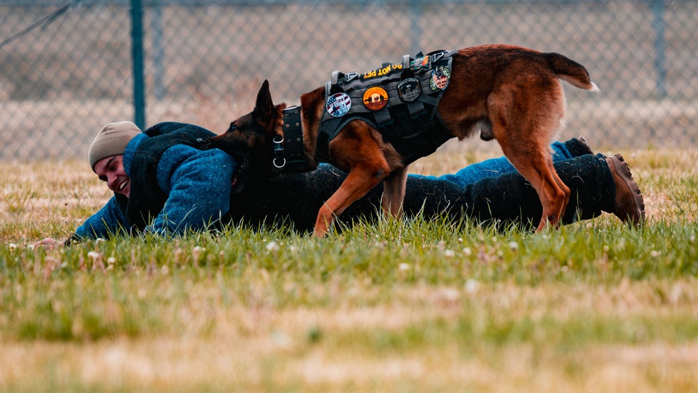 Partners in Protection: K-9s of National Police Week