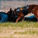 Partners in Protection: K-9s of National Police Week