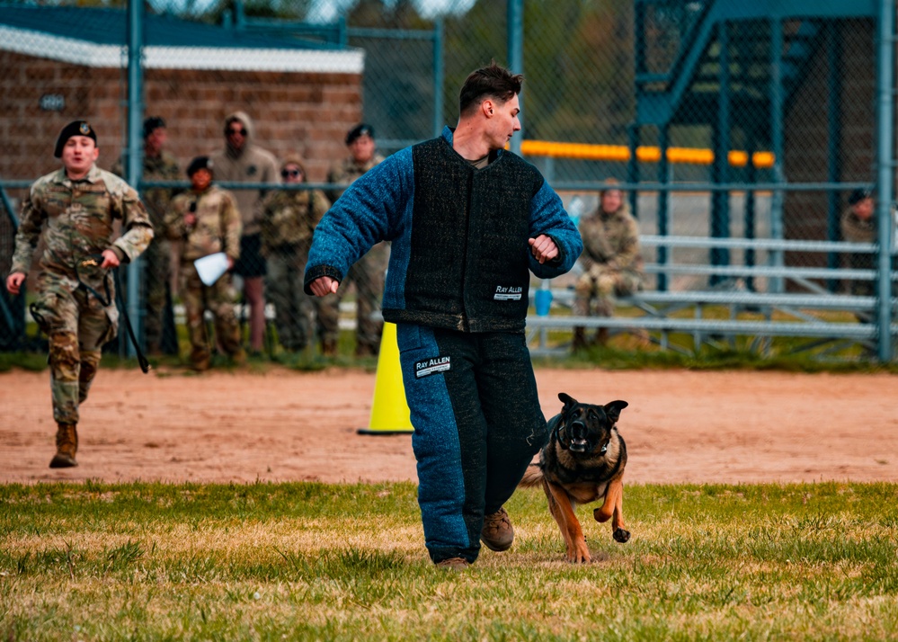 Partners in Protection: K-9s of National Police Week