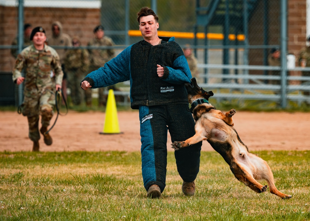 Partners in Protection: K-9s of National Police Week