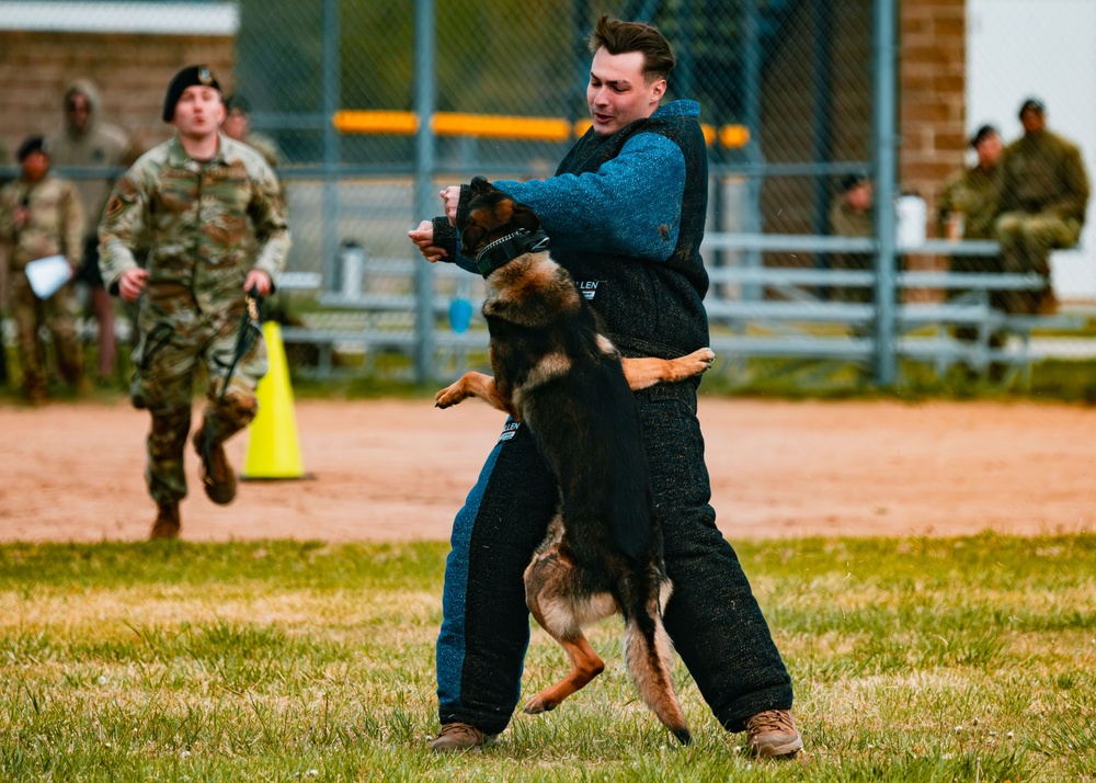 Partners in Protection: K-9s of National Police Week