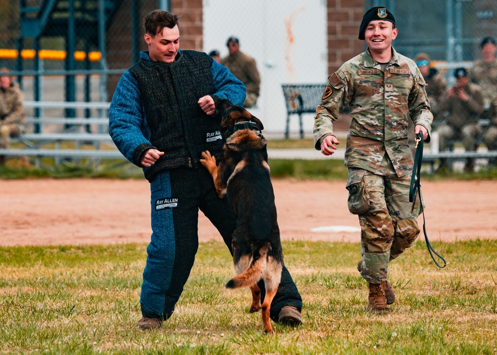 Partners in Protection: K-9s of National Police Week