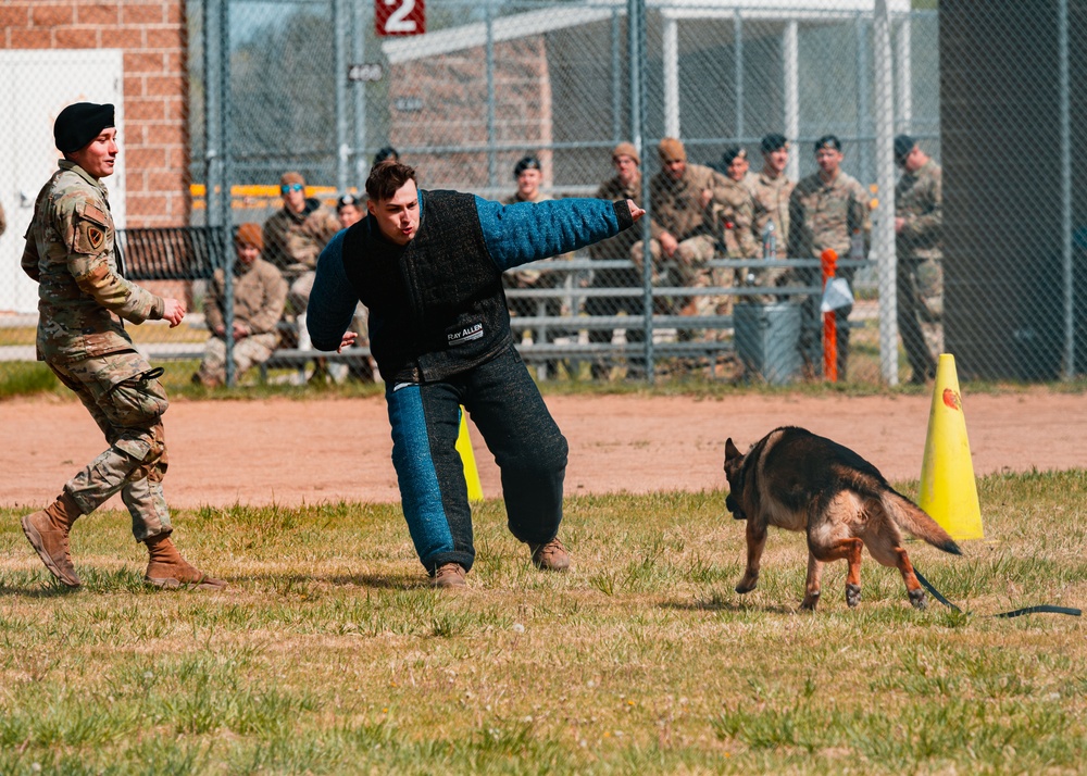 Partners in Protection: K-9s of National Police Week