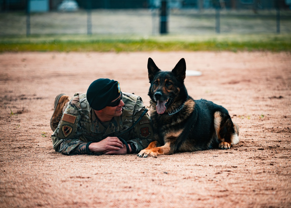 Partners in Protection: K-9s of National Police Week