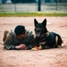 Partners in Protection: K-9s of National Police Week