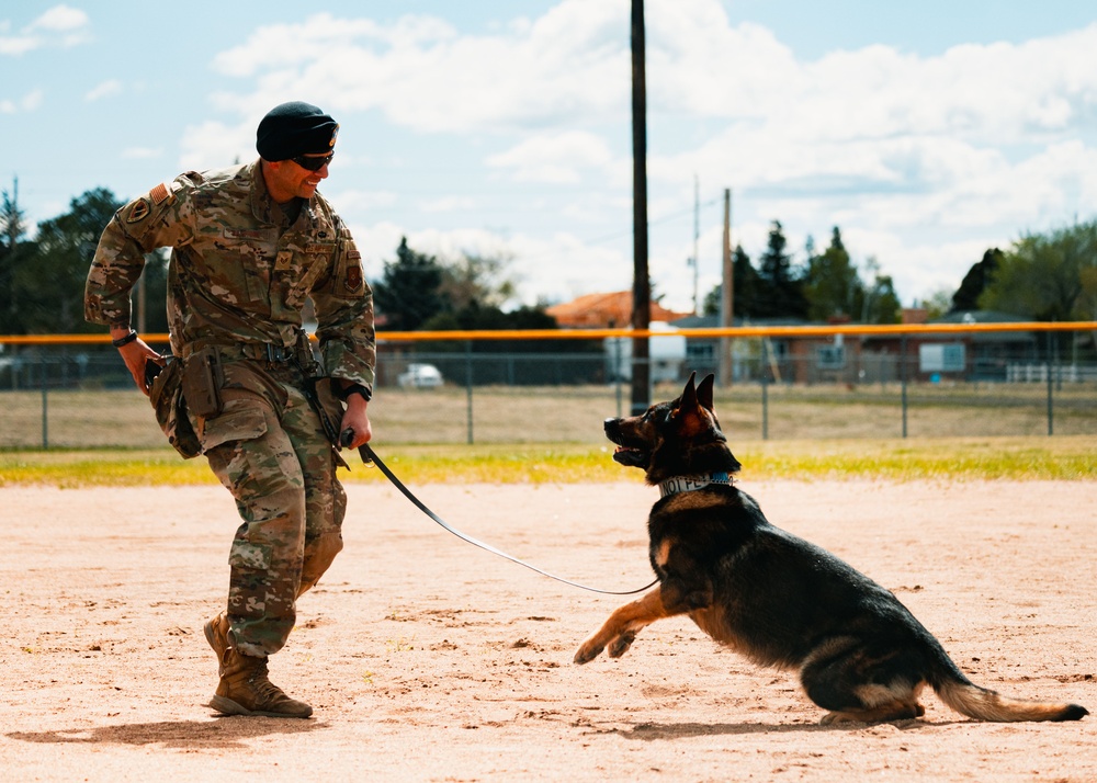 Partners in Protection: K-9s of National Police Week