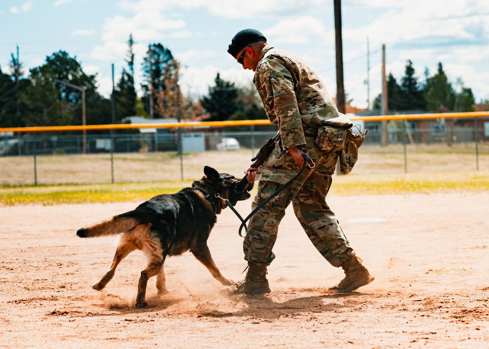 Partners in Protection: K-9s of National Police Week