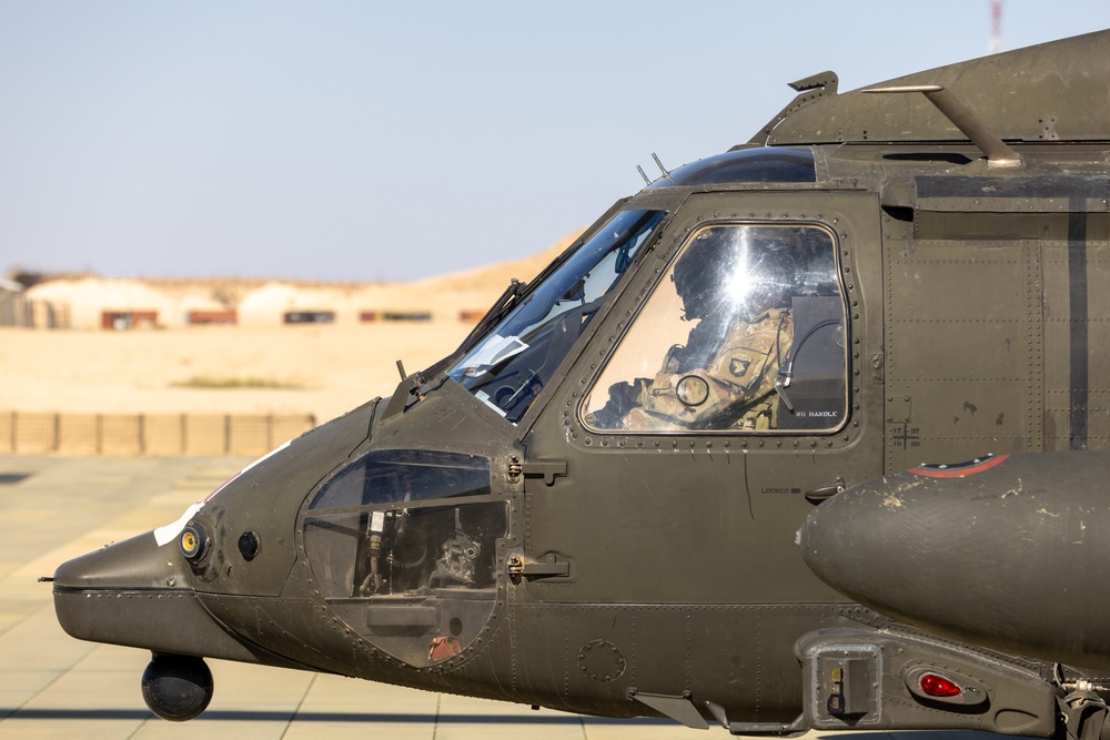 TF Cardinal MEDEVAC Training