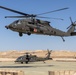 TF Cardinal MEDEVAC Training