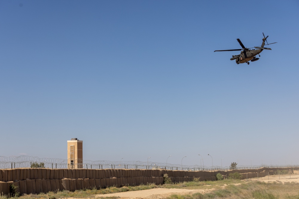 TF Cardinal MEDEVAC Training