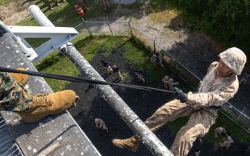 Mike Company Rappel Tower