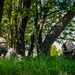 U.S. Navy Seamen and U.S. Army Soldiers Launch USV's for Arcane Thunder 25