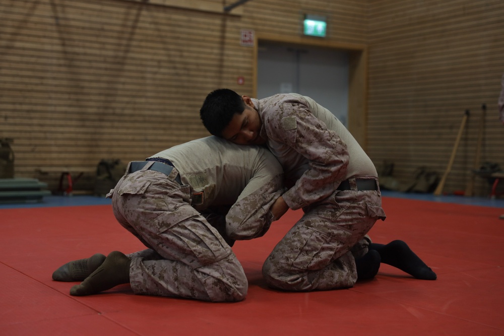 Swift Response 25 | U.S. Marines Sharpen Combat Readiness with Martial Arts Training in Norway