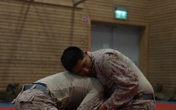 Swift Response 25 | U.S. Marines Sharpen Combat Readiness with Martial Arts Training in Norway