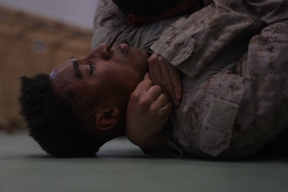Swift Response 25 | U.S. Marines Sharpen Combat Readiness with Martial Arts Training in Norway