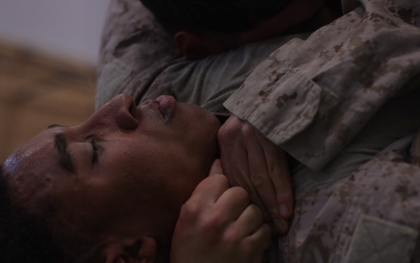 Swift Response 25 | U.S. Marines Sharpen Combat Readiness with Martial Arts Training in Norway