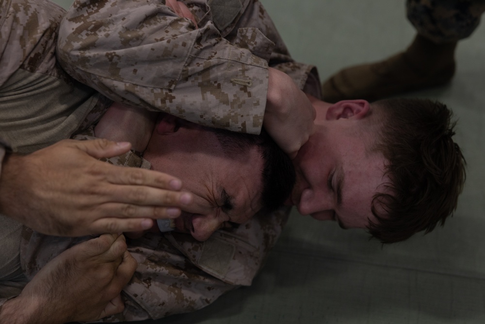 Swift Response 25 | U.S. Marines Sharpen Combat Readiness with Martial Arts Training in Norway