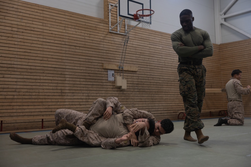 Swift Response 25 | U.S. Marines Sharpen Combat Readiness with Martial Arts Training in Norway